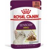 Royal Canin Sensory Smell Gravy/Salsa 85gr